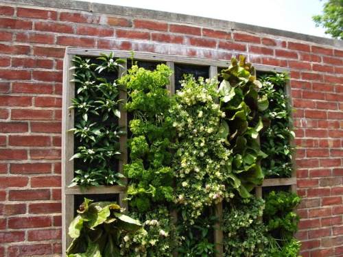 Vertical Garden